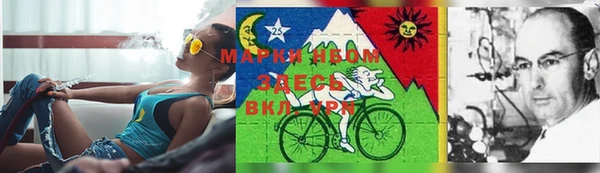 альфа пвп Баксан
