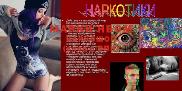 дмт Балахна