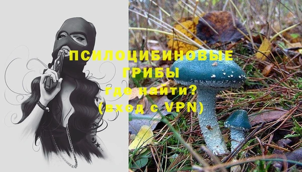 дмт Балахна