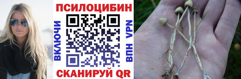 Галлюциногенные грибы GOLDEN TEACHER  omg tor  Володарск  где можно купить наркотик 